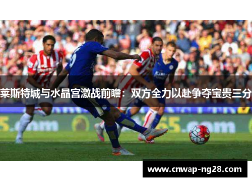 莱斯特城与水晶宫激战前瞻:双方全力以赴争夺宝贵三分 莱斯特城与水晶宫激战前瞻:双方全力以赴争夺宝贵三分