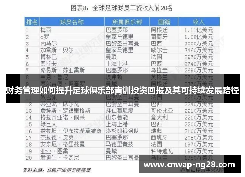 财务管理如何提升足球俱乐部青训投资回报及其可持续发展路径 财务管理如何提升足球俱乐部青训投资回报及其可持续发展路径