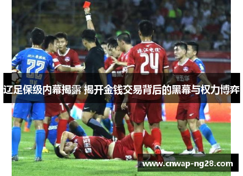 辽足保级内幕揭露 揭开金钱交易背后的黑幕与权力博弈 辽足保级内幕揭露 揭开金钱交易背后的黑幕与权力博弈