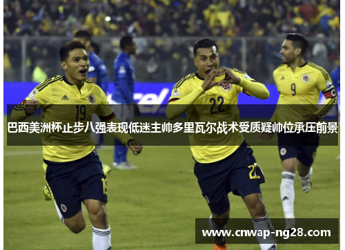巴西美洲杯止步八强表现低迷主帅多里瓦尔战术受质疑帅位承压前景