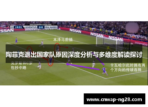 陶菲克退出国家队原因深度分析与多维度解读探讨 陶菲克退出国家队原因深度分析与多维度解读探讨