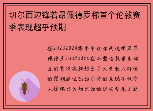 切尔西边锋若昂佩德罗称首个伦敦赛季表现超乎预期