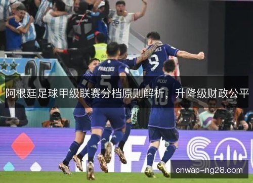 阿根廷足球甲级联赛分档原则解析，升降级财政公平