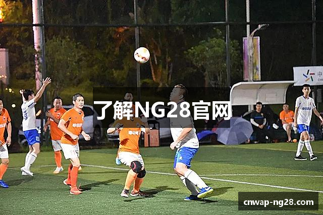 了解NG28官网